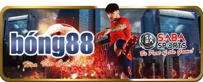 Đặc Quyền Cá Cược Thể Thao jj8 app